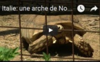 Italie: une arche de Noé pour animaux exotiques saisis