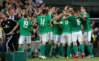 Sérieux test ukrainien pour l'Irlande du Nord