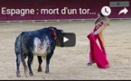 Espagne : mort d'un torero dans l'arène