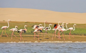 Les potentialités naturelles et écologiques au parc national de Khnifiss