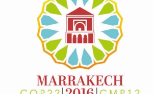 Pour le Danemark, la COP22 à Marrakech suscite "“de grandes attentes”