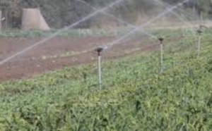 Un véritable défi pour l'essor du secteur agricole