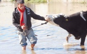 Pluies, chutes de neige, rafales de vent et inondations prévues