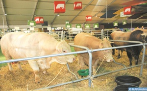 Valoriser et développer la filière des viandes rouges