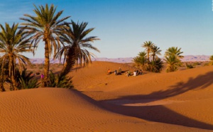 Forum international sur le développement durable dans les oasis et les zones montagneuses