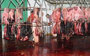 Le rapport alarmant de la Cour des comptes sur les abattoirs