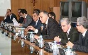 Tenue de la 8ème réunion du Comité de Veille Stratégique : L'amplitude de la reprise en 2010 demeure incertaine
