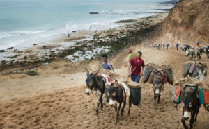 Le pillage du sable bat le plein