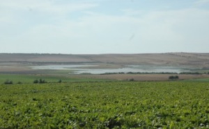 Le projet d'irrigation de la zone Chtouka en eau de mer dessalée sur la bonne voie