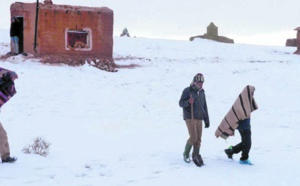 La vague de froid ou l’éternel combat