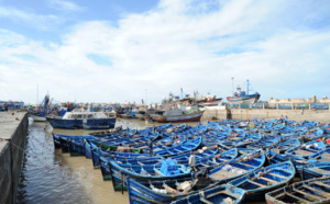 Le problème du trafic de poisson refait surface à Essaouira