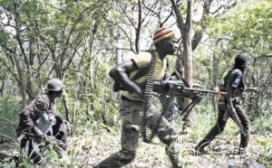 13 morts dans une attaque  à Ziguinchor au Sénégal