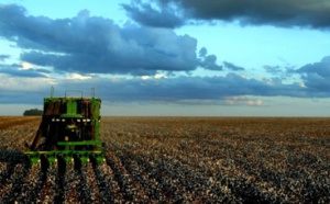 Pas d’impact négatif sur la campagne agricole en dépit du retard des pluies dans la région Casablanca-Settat