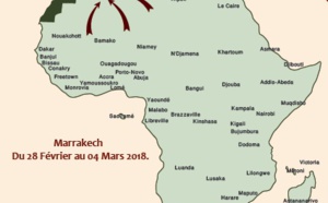 Des spécialistes endocrinologues africains en conclave à Marrakech