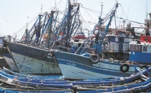 Nouvelles avancées dans la lutte contre les “engins de pêche” fantômes