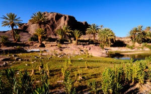 Zagora à l’heure du Forum international des oasis