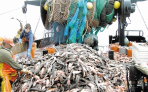 L’accord de pêche Maroc-UE quitte la nasse de la CJUE