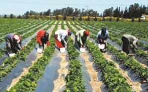 Une bourse des matières premières au service des pauvres en Ethiopie