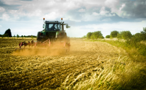 Les intrants agricoles sous exploités au Maroc