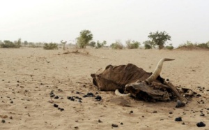 La famine a encore avancé dans le monde