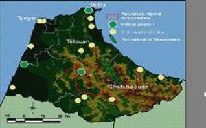 Tanger-Tétouan  : Onze listes en lice pour les élections partielles de la chambre des conseillers