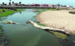 Désastre écologique à la plage Oued Merzeg