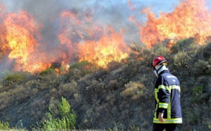 Les forêts marocaines menacées d’embrasement