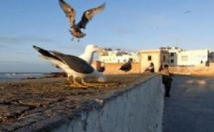 On lui a refusé l'accès au CHU de Marrakech : Une touriste française décède au CHP d'Essaouira