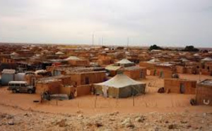 Les camps de Tindouf, principale base de recrutement pour les terroristes du Sahel