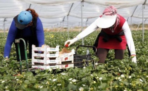 ​L’insoutenable quotidien des  saisonnières marocaines en Espagne