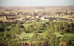 Réparation communautaire : Le CNDH planche sur le patrimoine oasien à Ouarzazate