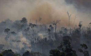 En réaction à la politique environnementale de Brasilia