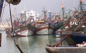 Les débarquements progressent de 48% à fin juin : La pêche côtière et artisanale a le vent en poupe
