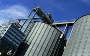 En raison de la faiblesse de la production nationale : Les importations de blé français appelées à augmenter