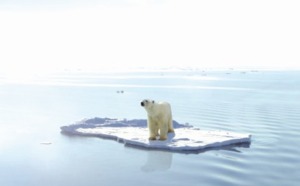 Réchauffement climatique : Des perspectives de plus en plus sombres