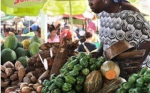 La banane et le manioc partent à l'assaut de la pomme de terre