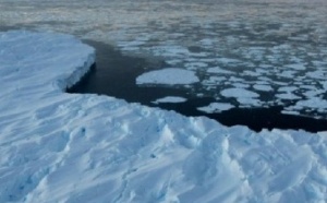 En Antarctique, le réchauffement s’accompagne d’une extension de la banquise