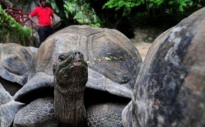 En plein océan, le laboratoire naturel de l'atoll d'Aldabra