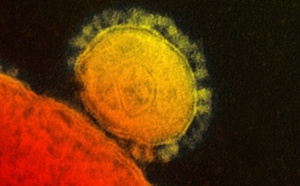 Le Coronavirus représente-t-il un danger pour les candidats au pèlerinage ?