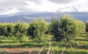 Le Maroc, un exemple à suivre en matière d’économie verte