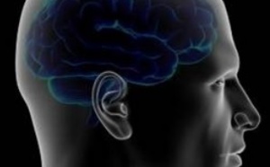 De faux souvenirs de guerre implantés dans le cerveau de soldats