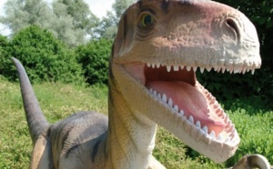 Les dents des dinosaures herbivores repoussaient tous les mois