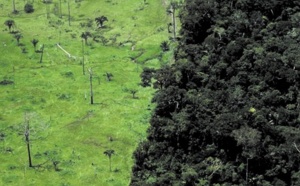 Le 20 août, l'humanité a déjà consommé toutes les ressources naturelles de l'année