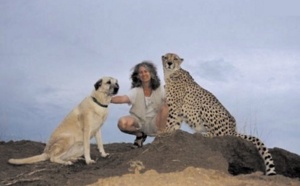 La Namibie redécouvre le chien de berger pour protéger les guépards