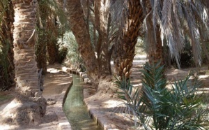 Festival de l’oasis du Guir à Boudnib