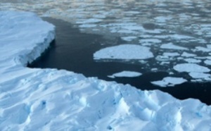 Trois graves menaces environnementales pèsent sur les océans