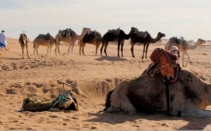 Les nomades de M’Hamid El Ghizlane en festival