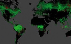 Une carte dévoile l’étendue de la déforestation dans le monde