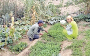 Coup d’envoi de l’Année internationale de l’agriculture familiale aux Nations unies