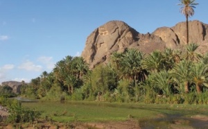 Ouverture à Zagora du deuxième Forum des oasis et du développement local